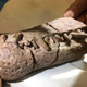 A phytosaur fossil unearthed at the former Bears Ears National Monument